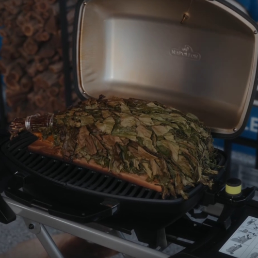 Муксун на кедровой дощечке под березовым веником на электрическом грилe Napoleon TravelQ PRO285EX