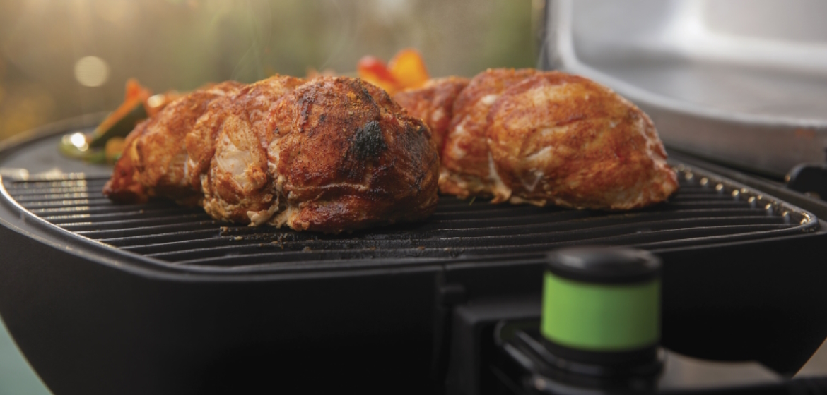 TravelQ™ PRO 285EX