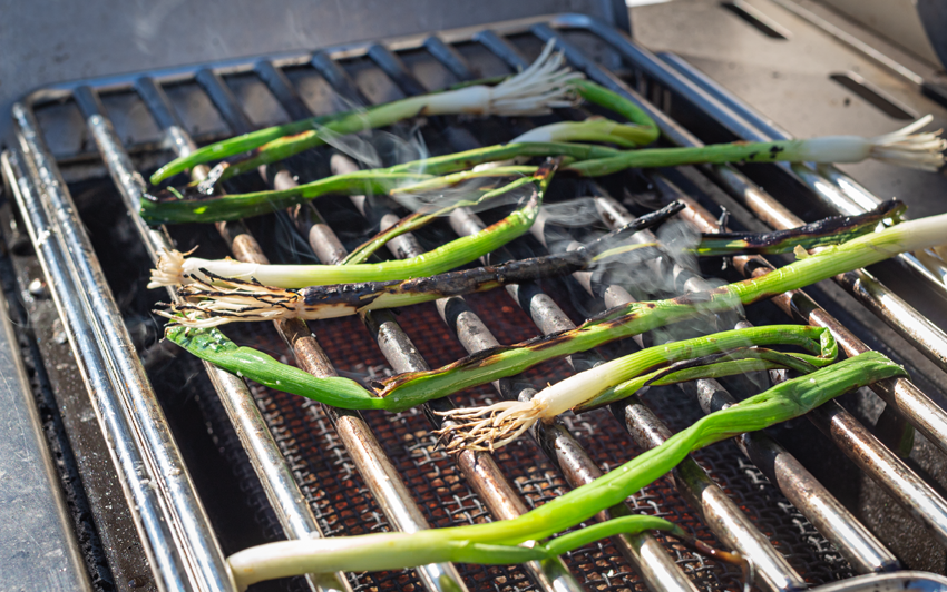 Irish Burgers With Avocado Aioli And Irish Cheddar Dip-1.jpg Irish Burgers With Avocado Aioli And Irish Cheddar Dip-1.jpg