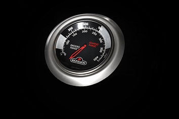 ТЕРМОМЕТР ACCU-PROBE™