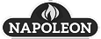 Napoleon | Главная