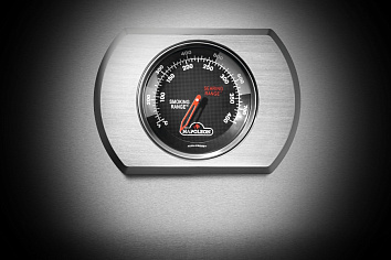 ТЕРМОМЕТР ACCU-PROBE™