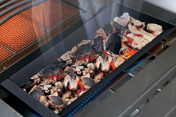 ГИБРИДНОСТЬ