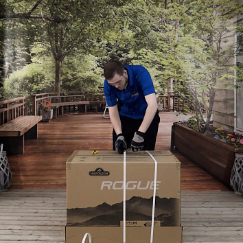 Rogue 365 (сборка)