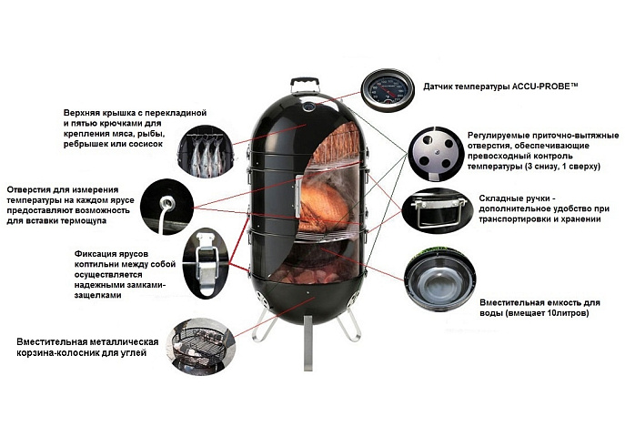 Apollo™ 300