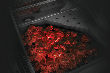 ГИБРИДНОСТЬ