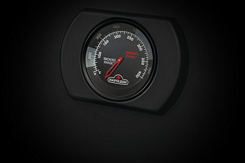 ТЕРМОМЕТР ACCU-PROBE™