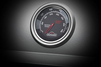 ТЕРМОМЕТР ACCU-PROBE™