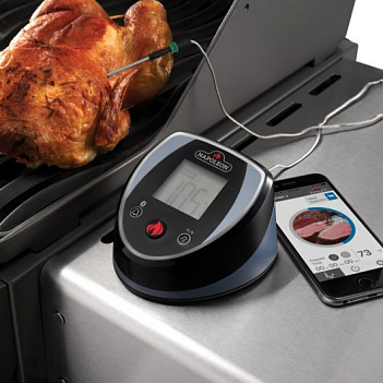 Как работают термометры для барбекю и для чего они нужны